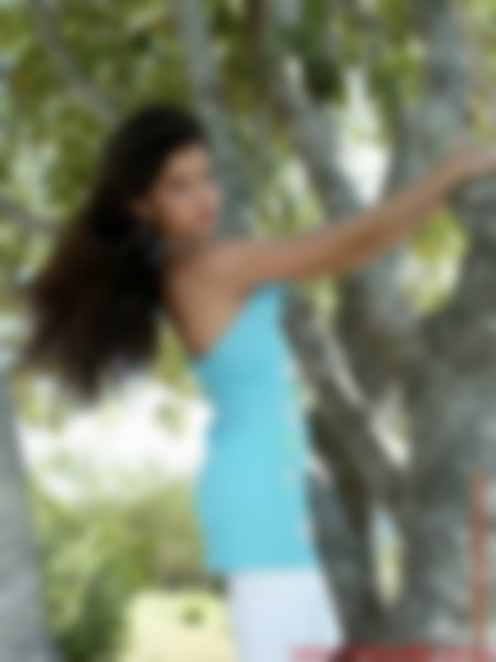 alarisse01015.jpg
