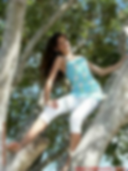 alarisse01016.jpg