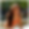 chayenne_m021019.jpg