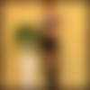 DSC00953.jpeg