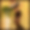 DSC00955.jpeg