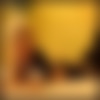DSC00981.jpeg