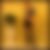 DSC00992.jpeg