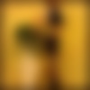 DSC00995.jpeg