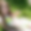 ane036x26.jpg