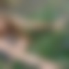 d-030.jpg