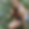 d-049.jpg