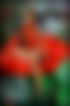 no-018-011.jpg