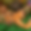 pm-001-016.jpg