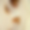 DSC00440.jpg