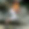 taiss_lgh01016.jpg