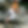 taiss_lgh01017.jpg